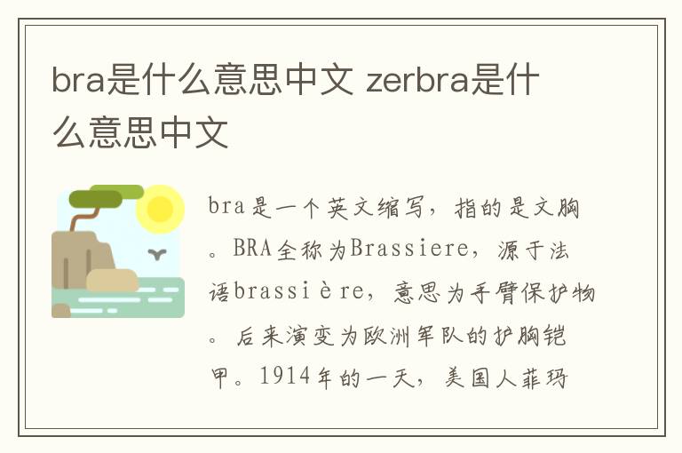 bra是什么意思中文 zerbra是什么意思中文