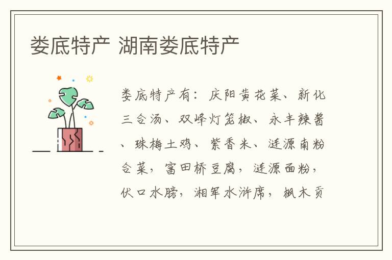 娄底特产 湖南娄底特产