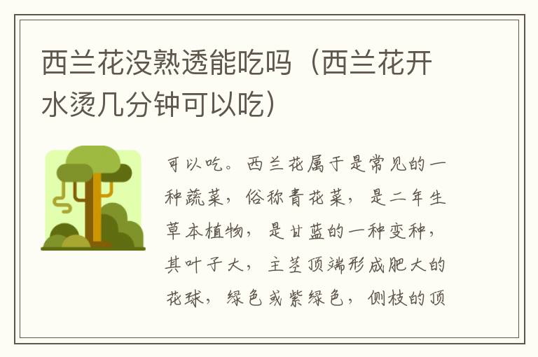 西兰花没熟透能吃吗（西兰花开水烫几分钟可以吃）
