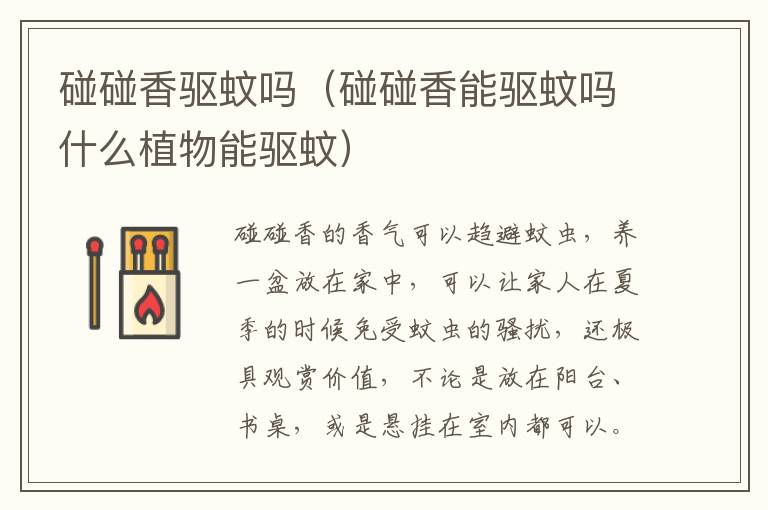 碰碰香驱蚊吗（碰碰香能驱蚊吗什么植物能驱蚊）
