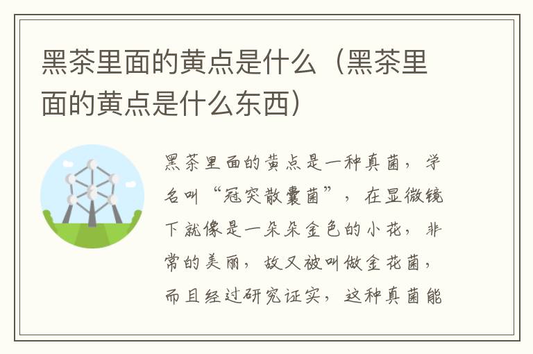 黑茶里面的黄点是什么（黑茶里面的黄点是什么东西）