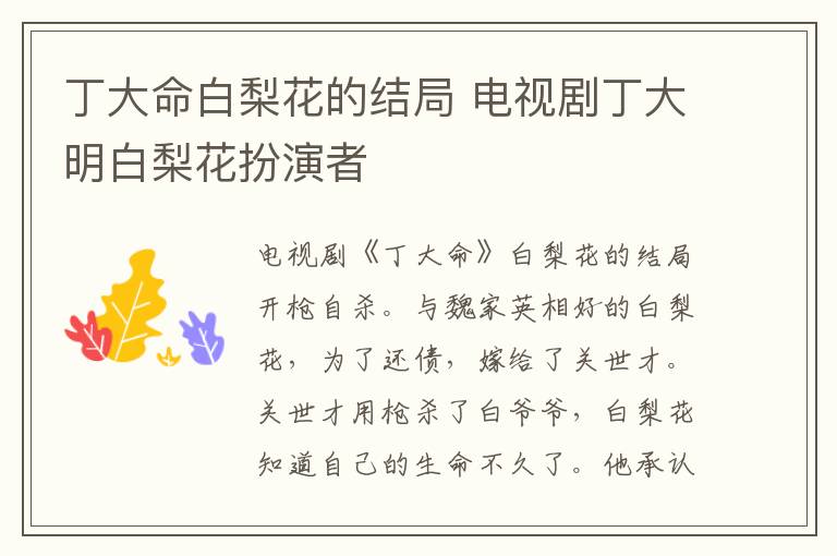 丁大命白梨花的结局 电视剧丁大明白梨花扮演者