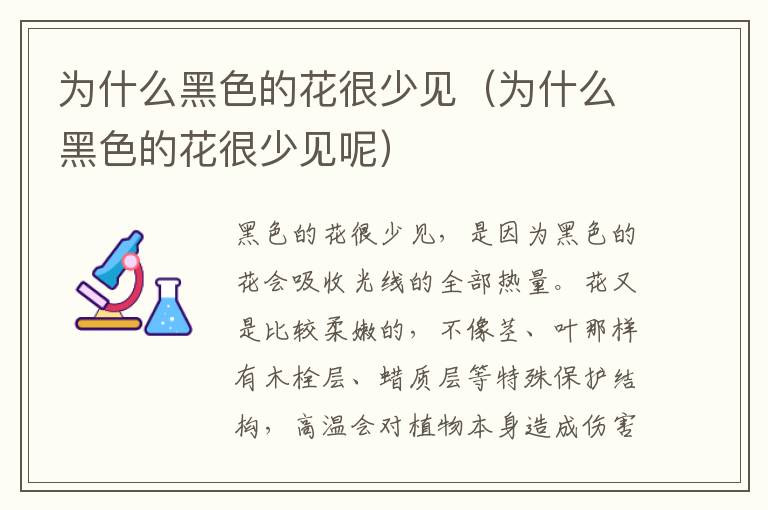 为什么黑色的花很少见（为什么黑色的花很少见呢）