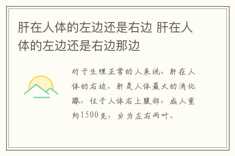 肝在人体的左边还是右边 肝在人体的左边还是右边那边