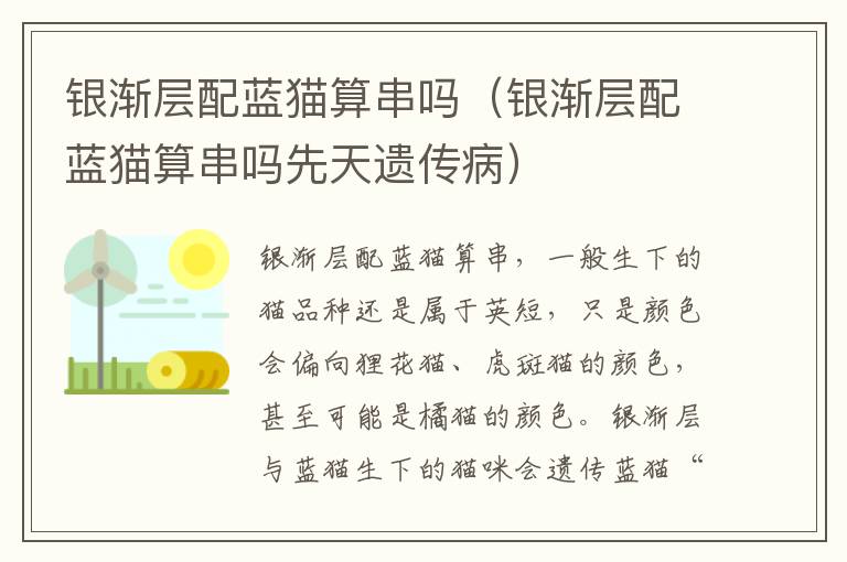 银渐层配蓝猫算串吗（银渐层配蓝猫算串吗先天遗传病）