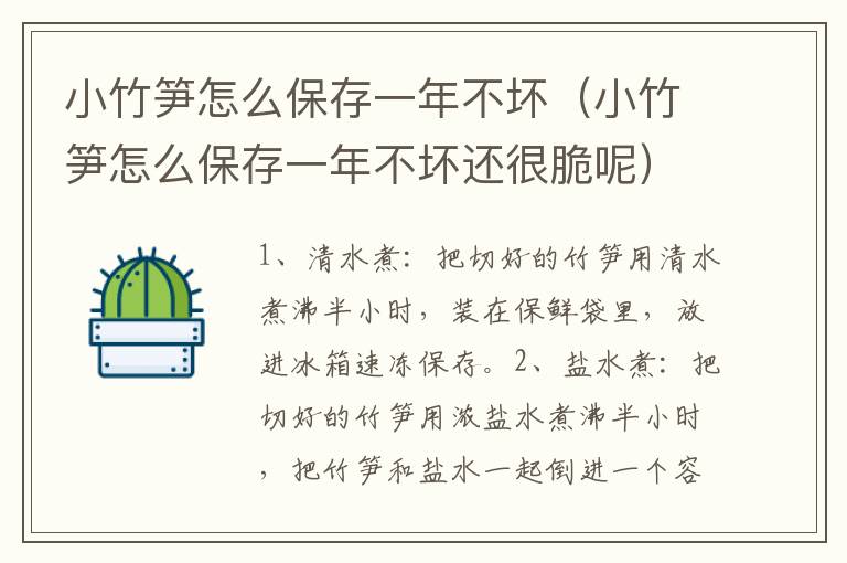 小竹笋怎么保存一年不坏（小竹笋怎么保存一年不坏还很脆呢）