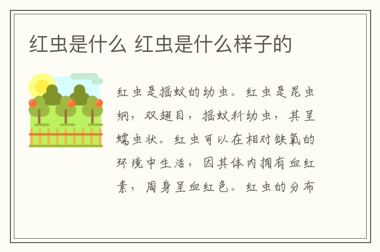 红虫是什么 红虫是什么样子的