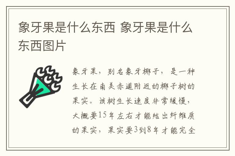 象牙果是什么东西 象牙果是什么东西图片