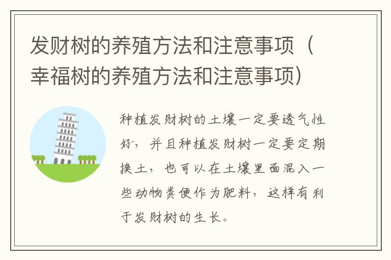 发财树的养殖方法和注意事项（幸福树的养殖方法和注意事项）