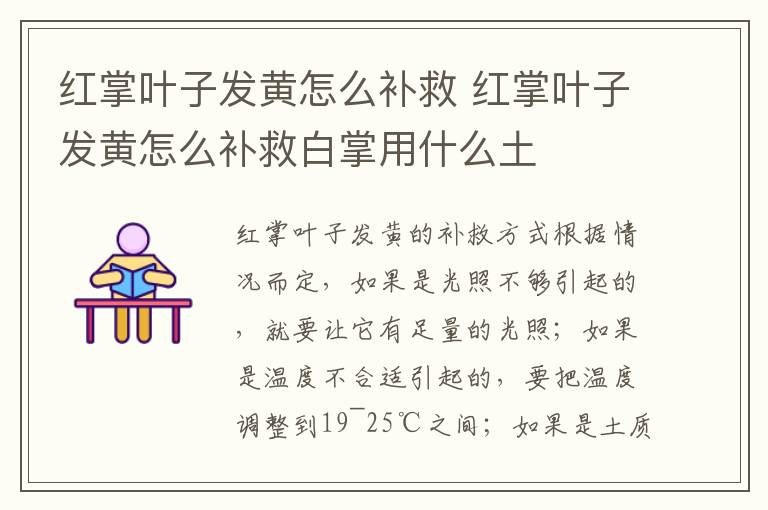 红掌叶子发黄怎么补救 红掌叶子发黄怎么补救白掌用什么土