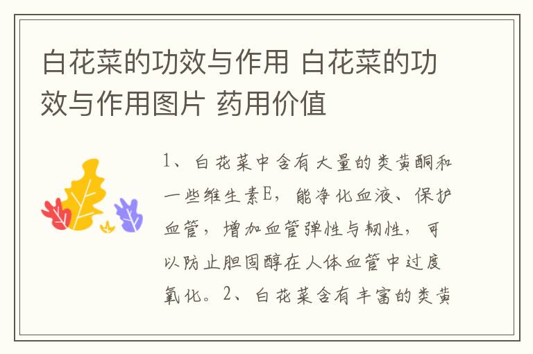 白花菜的功效与作用 白花菜的功效与作用图片 药用价值