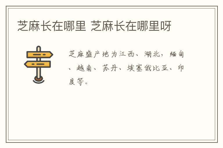 芝麻长在哪里 芝麻长在哪里呀