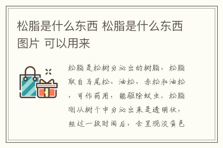 松脂是什么东西 松脂是什么东西图片 可以用来