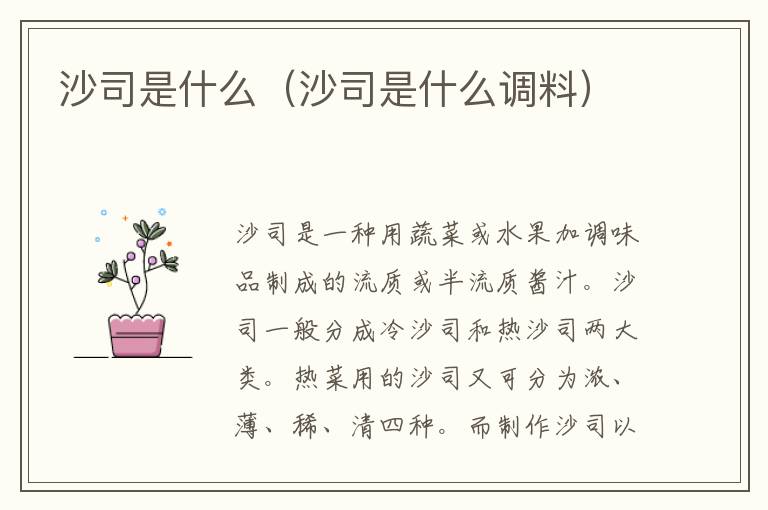 沙司是什么（沙司是什么调料）