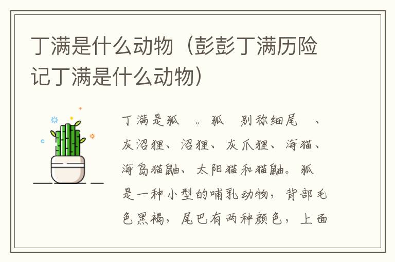 丁满是什么动物（彭彭丁满历险记丁满是什么动物）