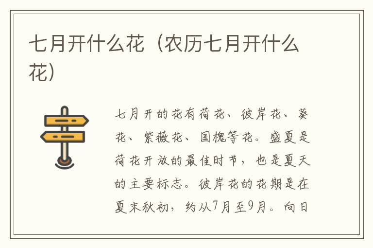 七月开什么花(农历七月开什么花)