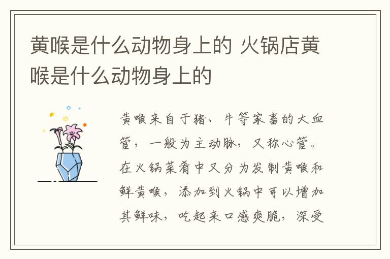 黄喉是什么动物身上的 火锅店黄喉是什么动物身上的