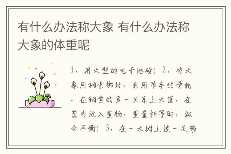 有什么办法称大象 有什么办法称大象的体重呢