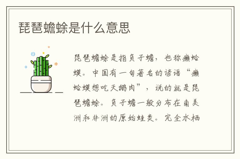琵琶蟾蜍是什么意思