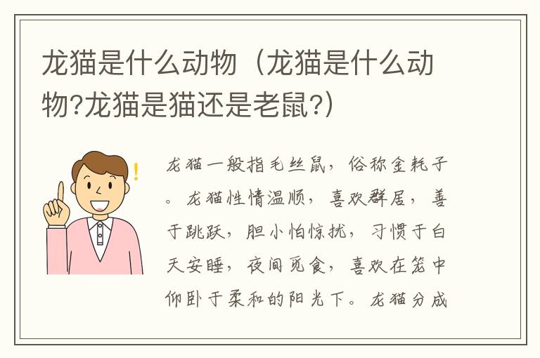 龙猫是什么动物（龙猫是什么动物?龙猫是猫还是老鼠?）
