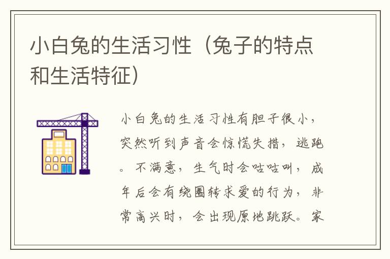 小白兔的生活习性（兔子的特点和生活特征）