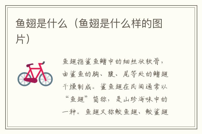 鱼翅是什么（鱼翅是什么样的图片）
