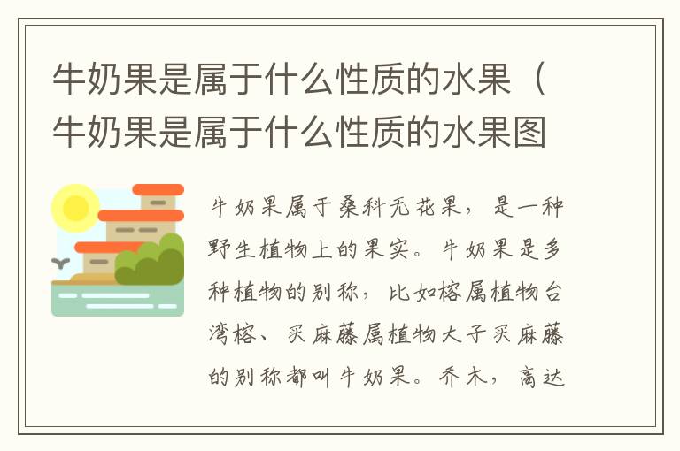 牛奶果是属于什么性质的水果（牛奶果是属于什么性质的水果图片）