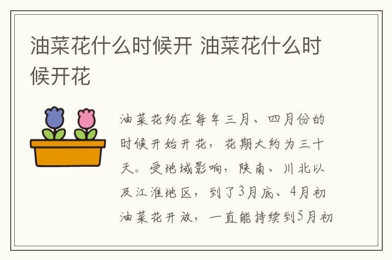 油菜花什么时候开 油菜花什么时候开花