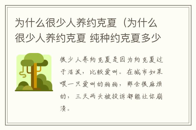 为什么很少人养约克夏（为什么很少人养约克夏 纯种约克夏多少钱）