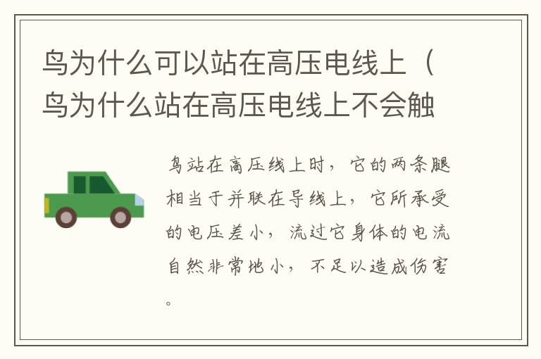 鸟为什么可以站在高压电线上（鸟为什么站在高压电线上不会触电）