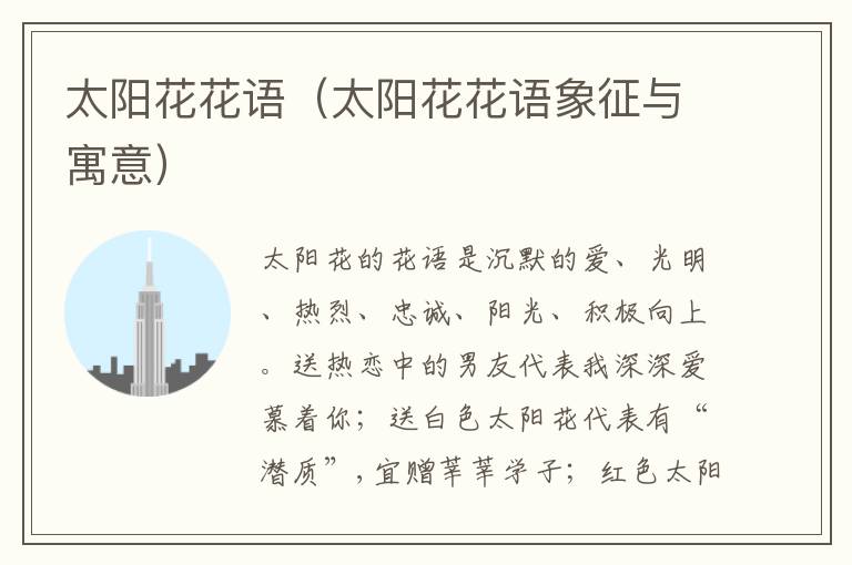 太阳花花语（太阳花花语象征与寓意）