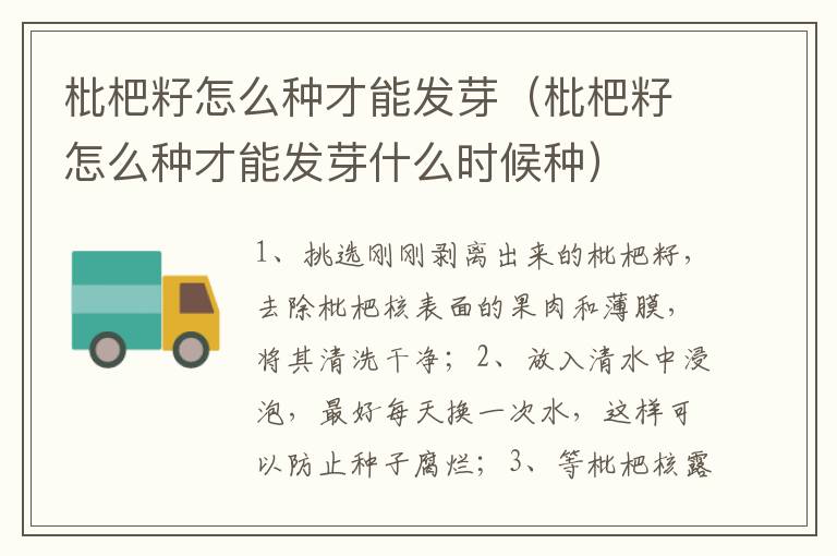 枇杷籽怎么种才能发芽（枇杷籽怎么种才能发芽什么时候种）