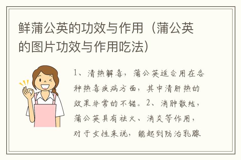 鲜蒲公英的功效与作用（蒲公英的图片功效与作用吃法）