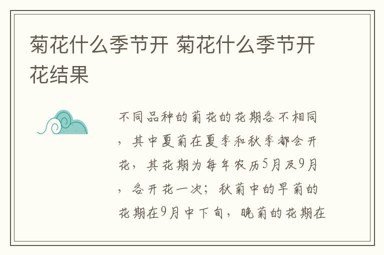 菊花什么季节开 菊花什么季节开花结果