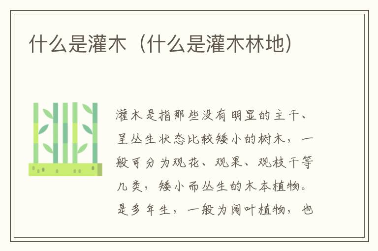 什么是灌木（什么是灌木林地）