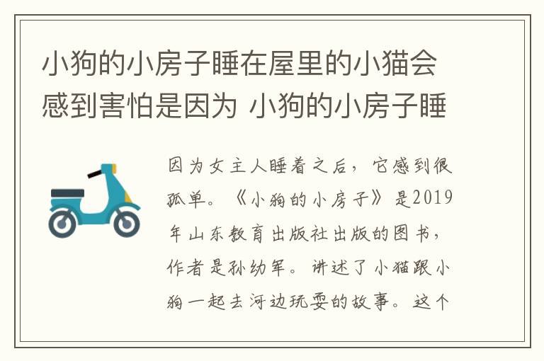 小狗的小房子睡在屋里的小猫会感到害怕是因为 小狗的小房子睡在屋里的小猫会感到害怕为什么