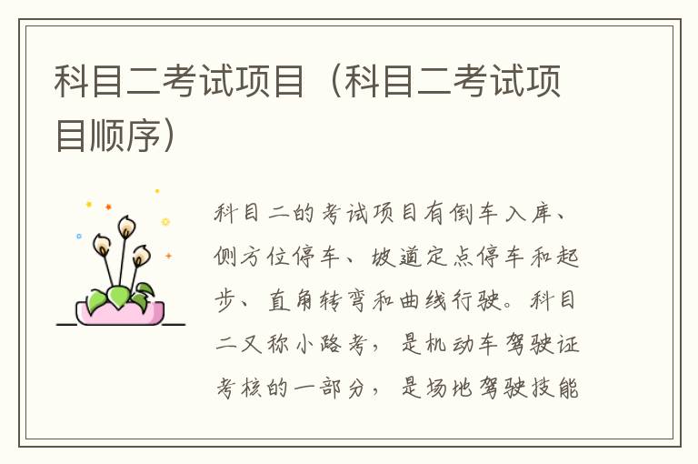 科目二考试项目（科目二考试项目顺序）