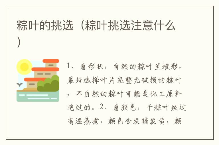 粽叶的挑选（粽叶挑选注意什么）