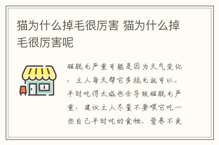 猫为什么掉毛很厉害 猫为什么掉毛很厉害呢
