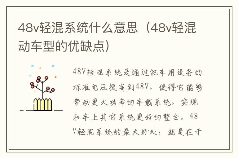 48v轻混系统什么意思(48v轻混动车型的优缺点)