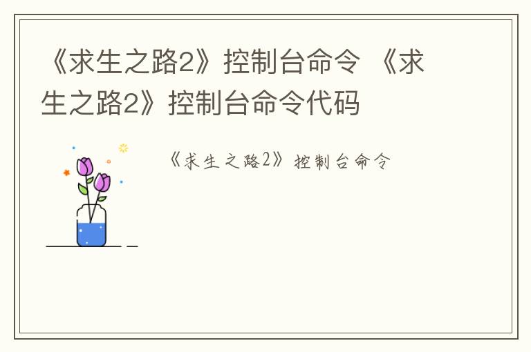 《求生之路2》控制台命令 《求生之路2》控制台命令代码