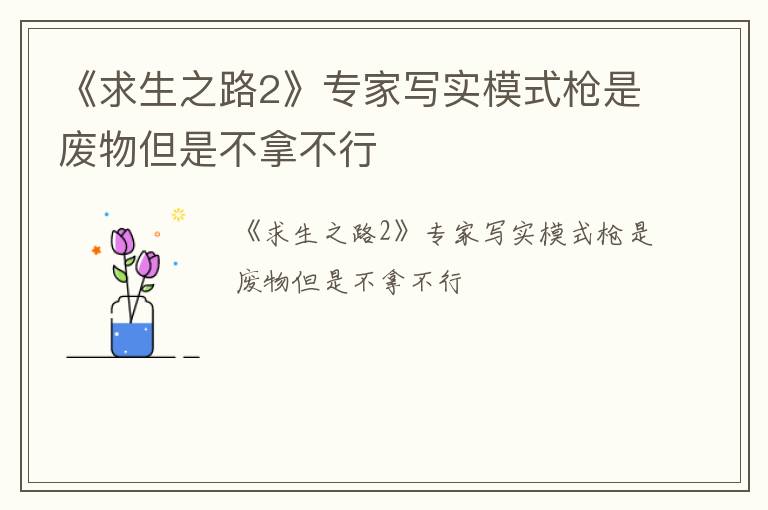 《求生之路2》专家写实模式枪是废物但是不拿不行