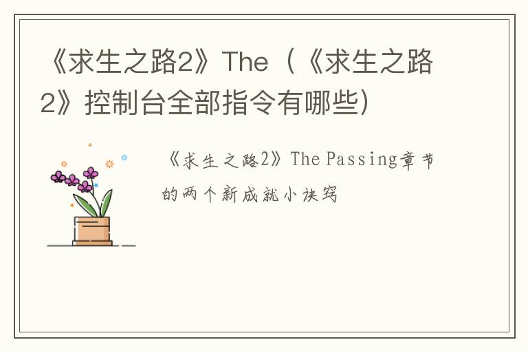 《求生之路2》The（《求生之路2》控制台全部指令有哪些）