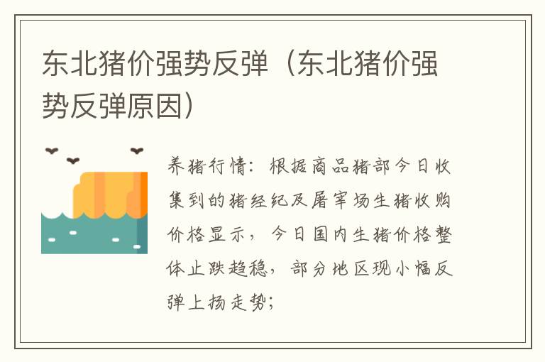 东北猪价强势反弹（东北猪价强势反弹原因）