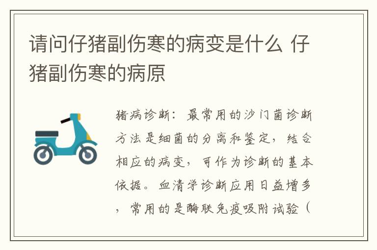 请问仔猪副伤寒的病变是什么 仔猪副伤寒的病原