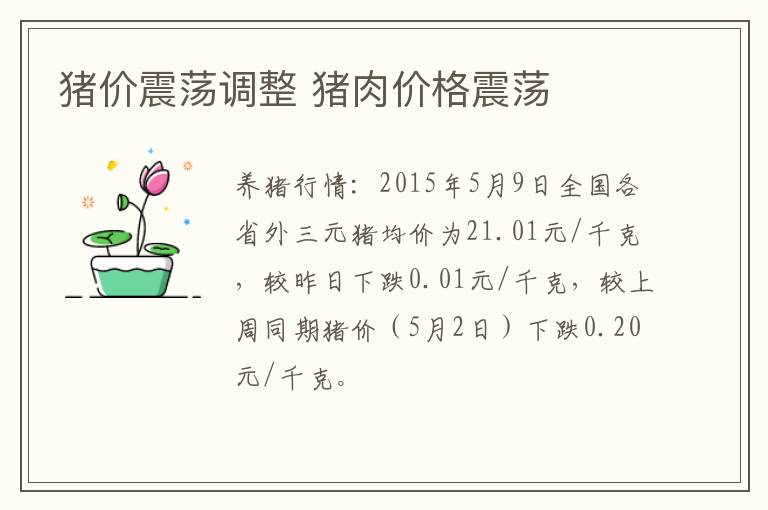 猪价震荡调整 猪肉价格震荡