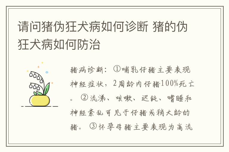 请问猪伪狂犬病如何诊断 猪的伪狂犬病如何防治