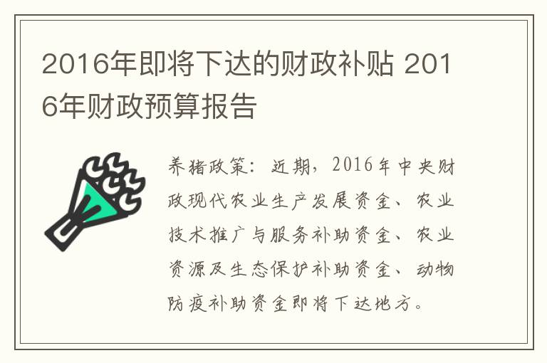 2016年即将下达的财政补贴 2016年财政预算报告
