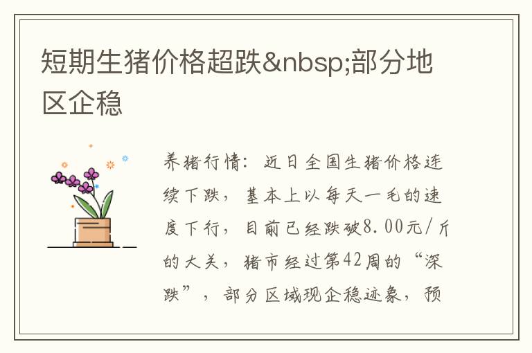 短期生猪价格超跌&nbsp;部分地区企稳
