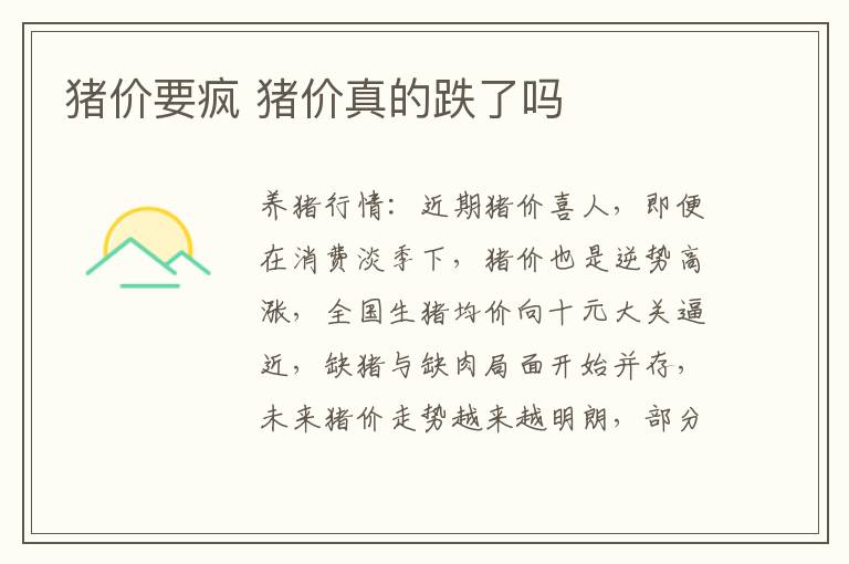 猪价要疯 猪价真的跌了吗